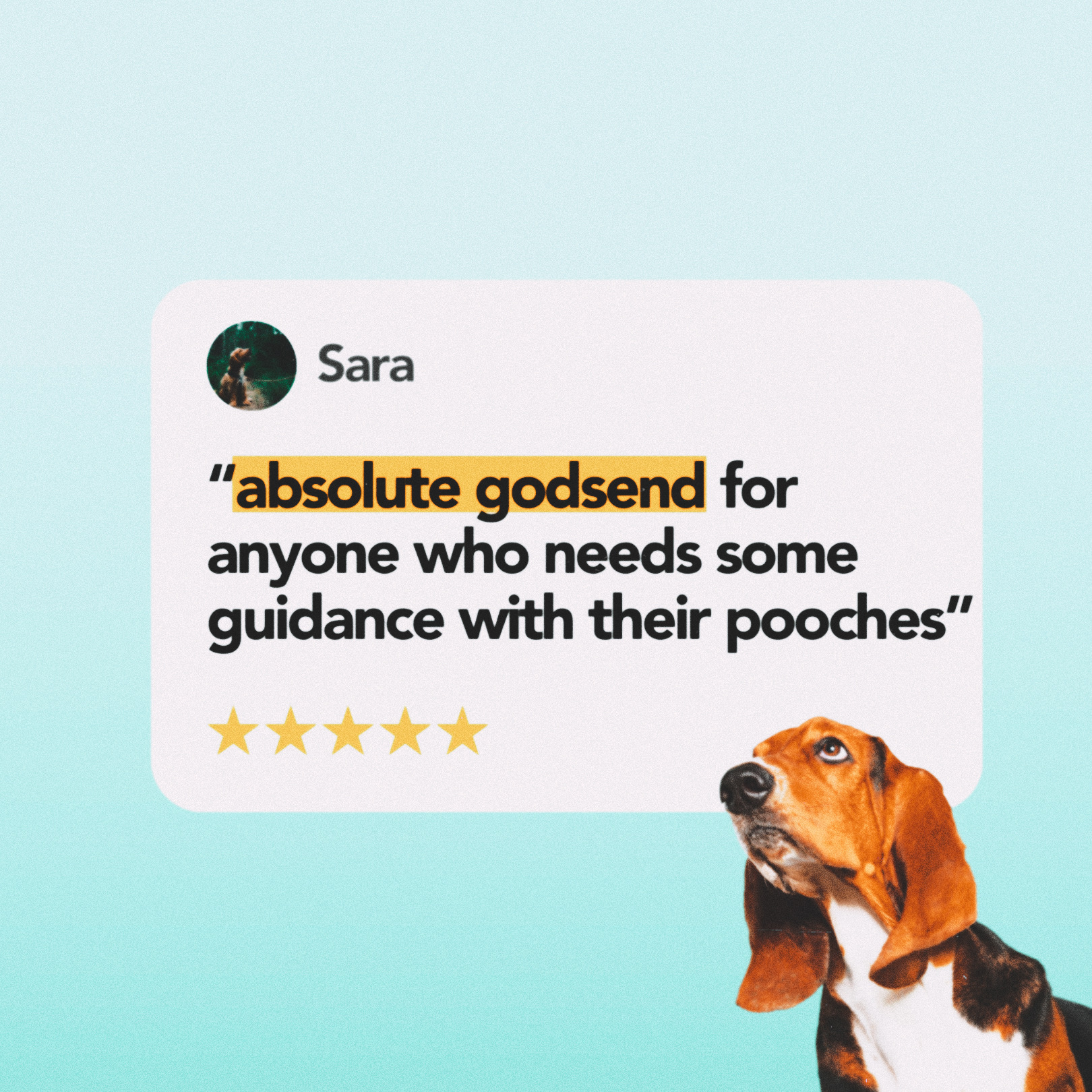 The Calm Dog campaign work by Heplink