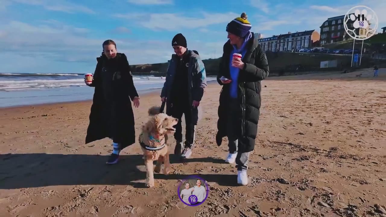 Calm Dog shoot